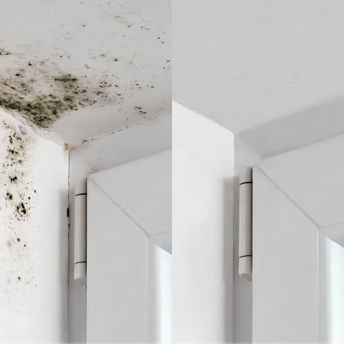 Fissativo bonificante sanificante biofix barriera protettiva antimuffa antialga *** formato 1 lt, confezione 1