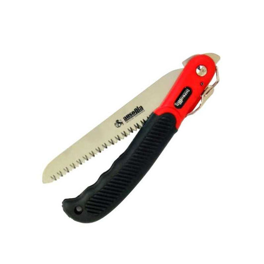 Segaccio Serramanico Diritto 180 34055 Ausonia