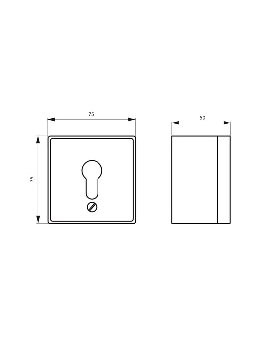 Selettore a chiave a cilindro europeo, per saracinesca, cancello elettrico, interruttore contatti, filo muro - THIRARD