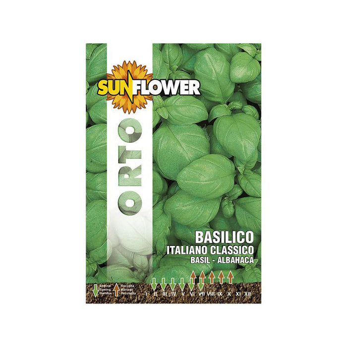 Sementi Basilico Italiano Classico Sunflower