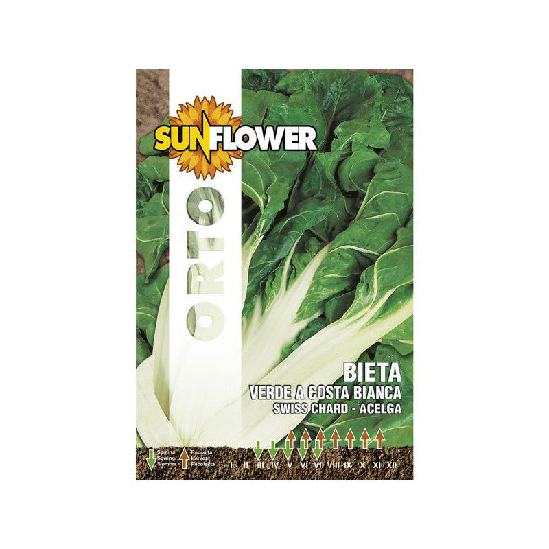 Sementi Bietola Costa Bianca Sunflower