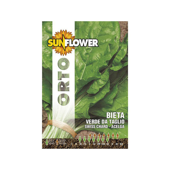 Sementi Bietola Costa Da Taglio Sunflower