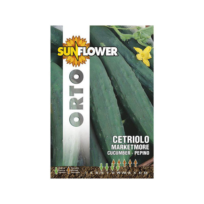 Sementi Cetriolo Marketmore Sunflower