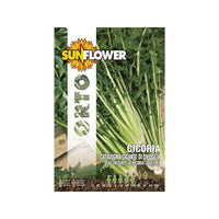 Sementi Cicoria Gigante Di Chioggia Sunflower