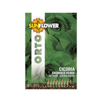 Sementi Cicoria Grumulo Verde Sunflower