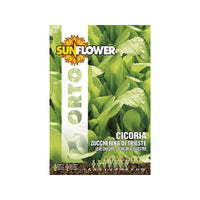 Sementi Cicoria Zuccherina Di Trieste Sunflower