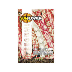 Sementi Fagiolo Borlotto Nano Sunflower