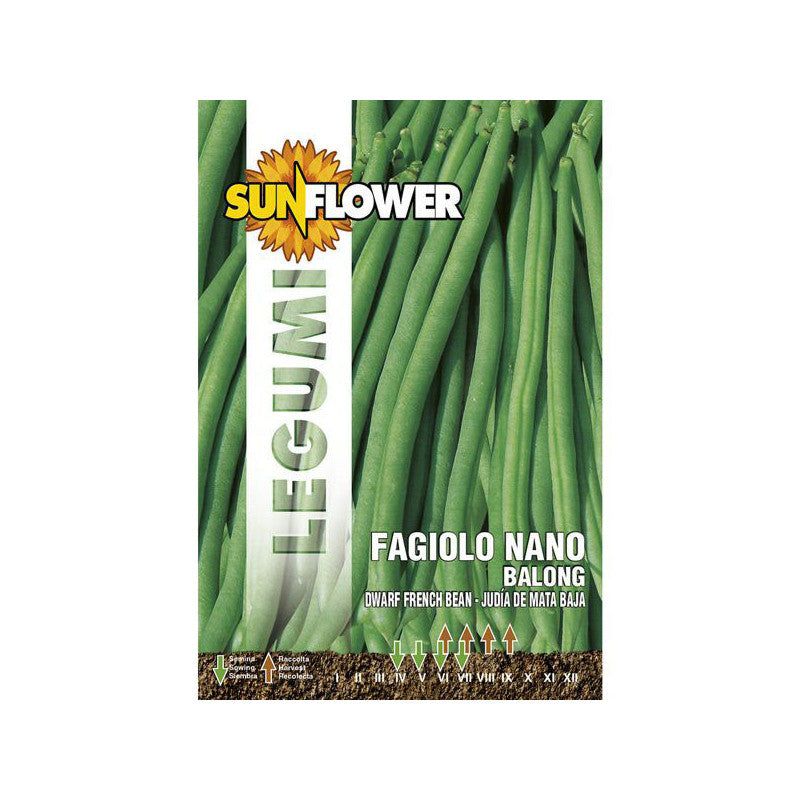 Sementi Fagiolo Nano Balong Sunflower