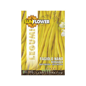 Sementi Fagiolo Nano Berggold Sunflower