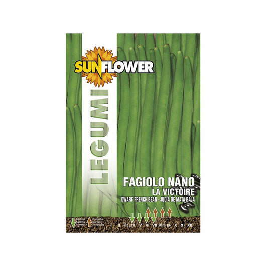 Sementi Fagiolo Nano La Victoire Sunflower