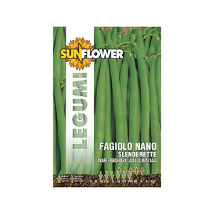Sementi Fagiolo Nano Slenderette Sunflower