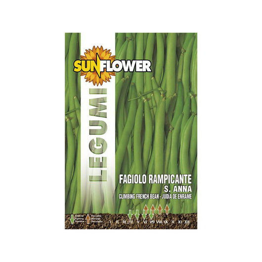 Sementi Fagiolo Rampicante Sant'Anna Sunflower