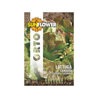 Sementi Lattuga Canasta Sunflower