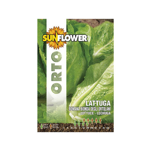 Sementi Lattuga Romana Bionda Sunflower