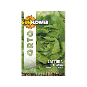 Sementi Lattuga Sant'Anna Sunflower