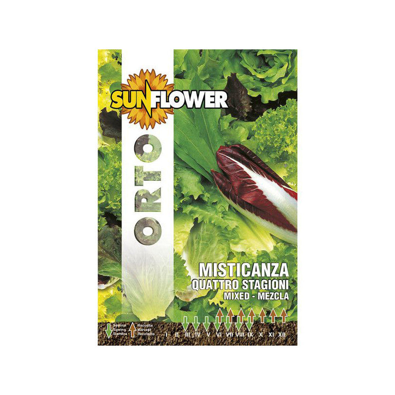 Sementi Misticanza Quattro Stagioni Sunflower
