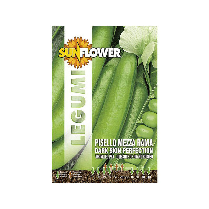Sementi Pisello Mezza Rama Perfection Sunflower