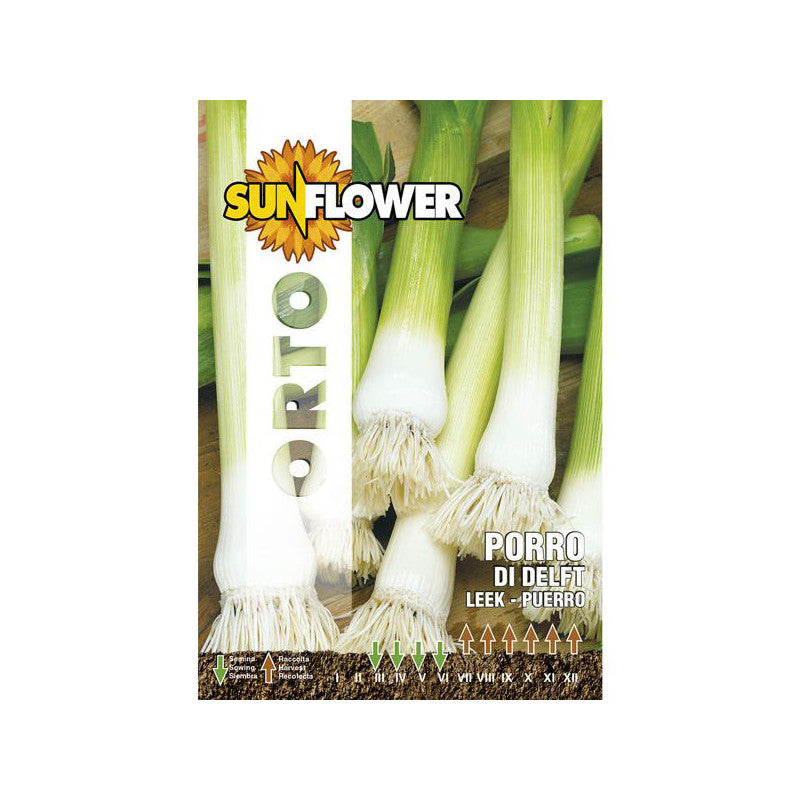 Sementi Porro Di Delft Sunflower