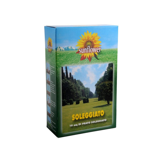 Sementi Prato Soleggiato Kg 0,25 Sunflower