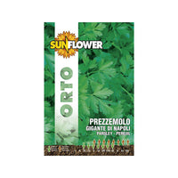 Sementi Prezzemolo Gigante Di Napoli Sunflower