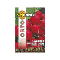 Sementi Ravanello Rapid Red Sunflower