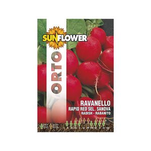 Sementi Ravanello Rapid Red Sunflower