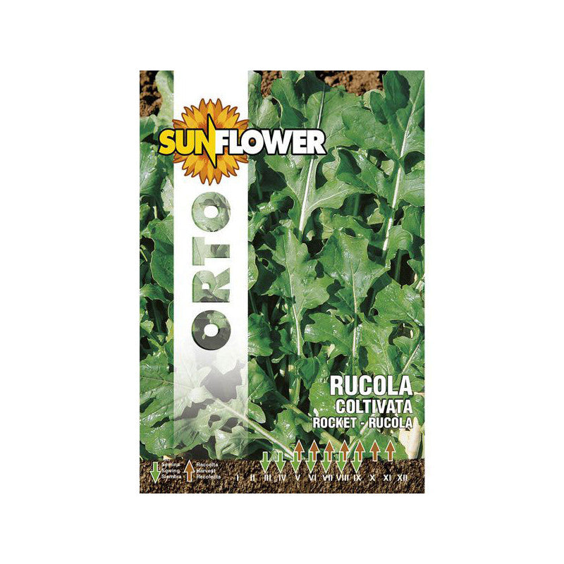 Sementi Rucola Coltivata Foglia Larga Sunflower