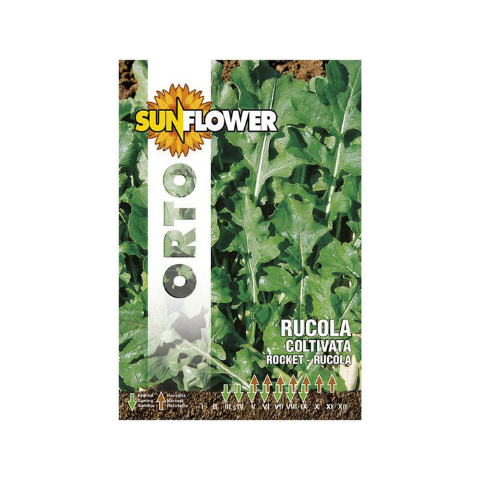 Sementi Rucola Coltivata Foglia Larga Sunflower