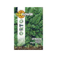 Sementi Spinacio America Sunflower
