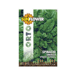 Sementi Spinacio America Sunflower