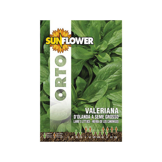 Sementi Valeriana D'Olanda Sunflower