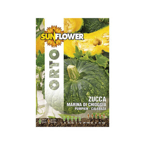 Sementi Zucca Marina Di Chioggia Sunflower