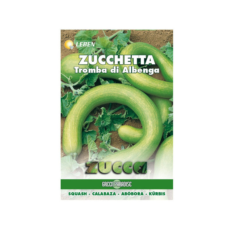 Sementi Zucchetta Tromba D'Albenga Leben