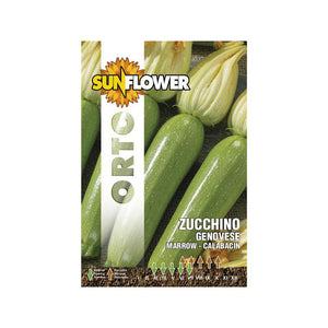 Sementi Zucchino Genovese Sunflower