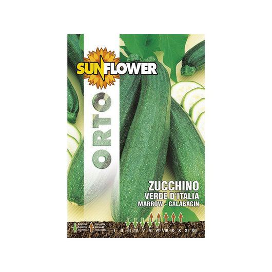 Sementi Zucchino Verde Italia Sunflower