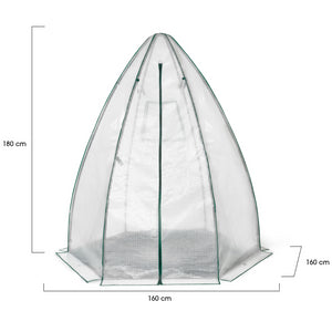 IDMarket - Serra a cupola per lo svernamento 160 x 160 x 180 CM