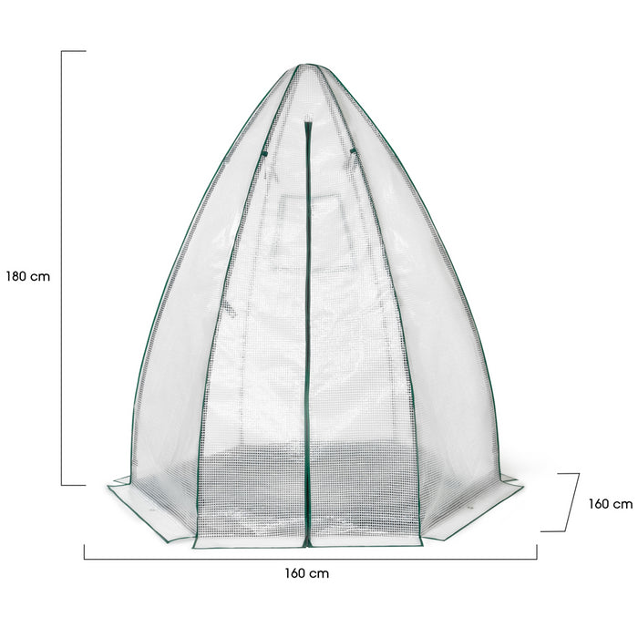 IDMarket - Serra a cupola per lo svernamento 160 x 160 x 180 CM