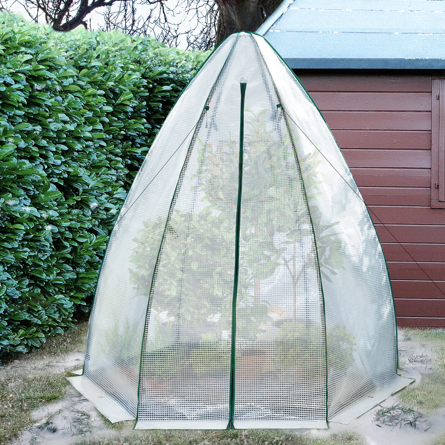 IDMarket - Serra a cupola per lo svernamento 160 x 160 x 180 CM