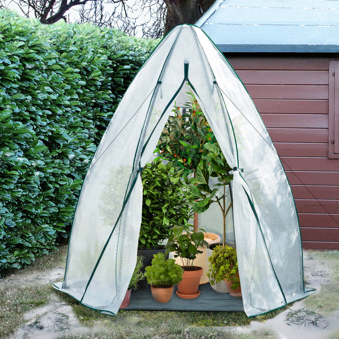 IDMarket - Serra a cupola per lo svernamento 160 x 160 x 180 CM