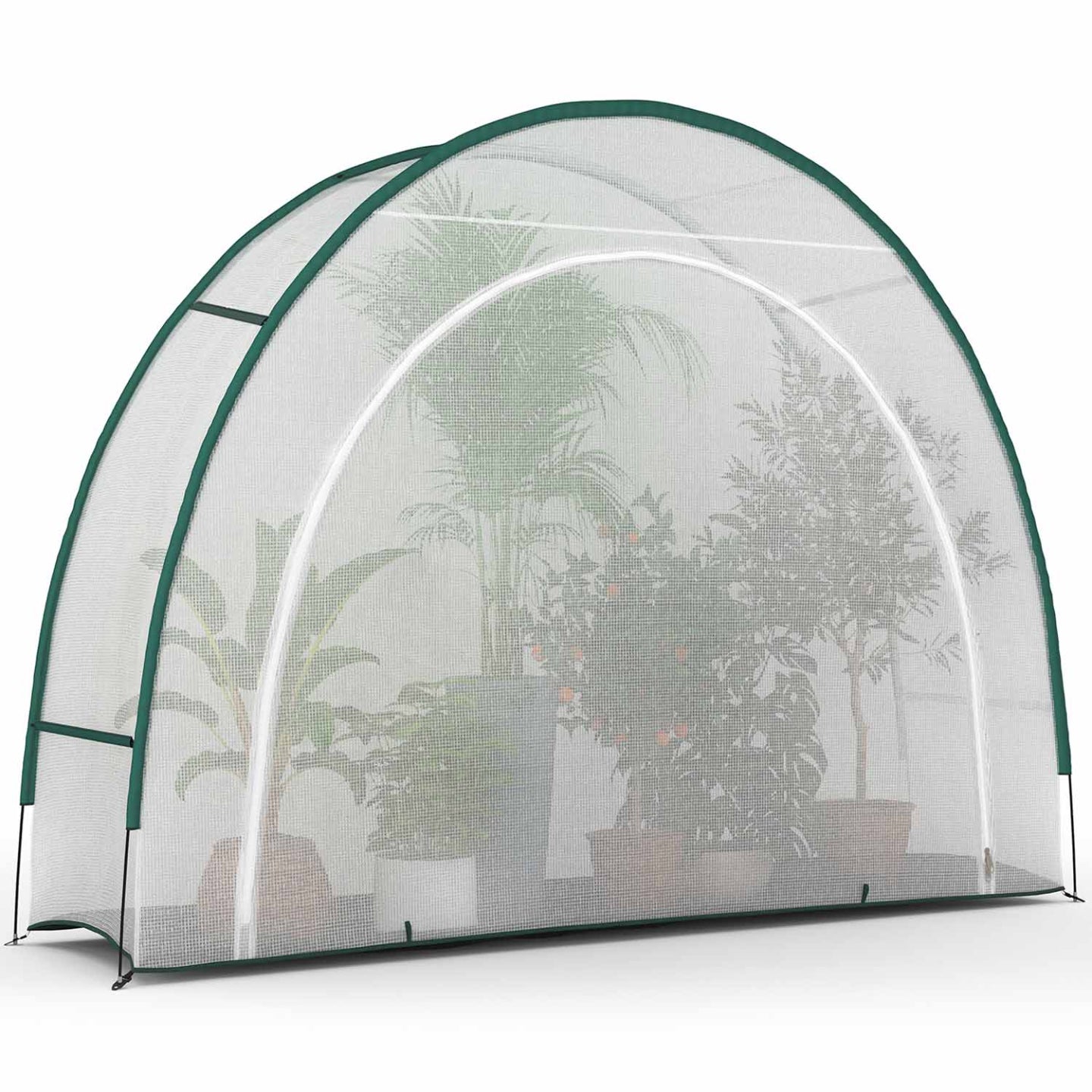 IDMarket - Serra a mezza luna 300 x 80 x 220 cm balcone e terrazza