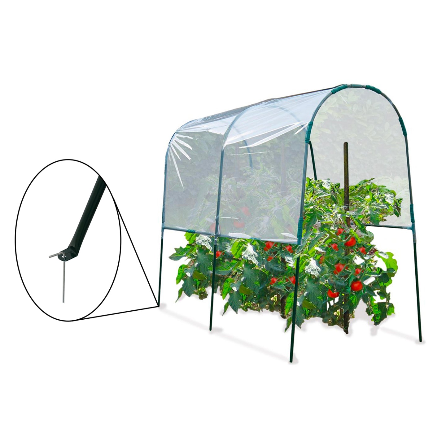 ProBache - Serra di pomodori 2 M