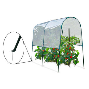 ProBache - Serra di pomodori 2 M