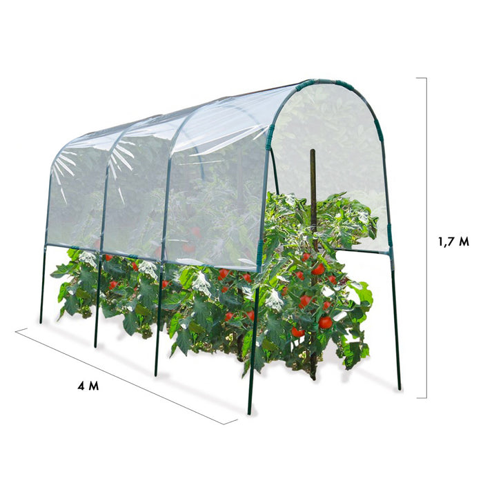 ProBache - Serra di pomodori 4 M