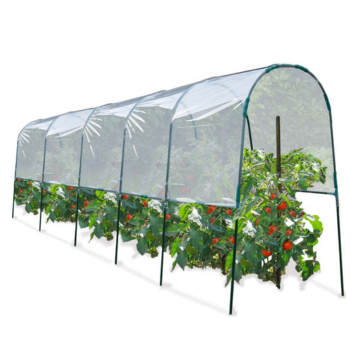 ProBache - Serra di pomodori 6 M