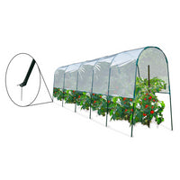 ProBache - Serra di pomodori 6 M