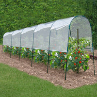 ProBache - Serra di pomodori 6 M