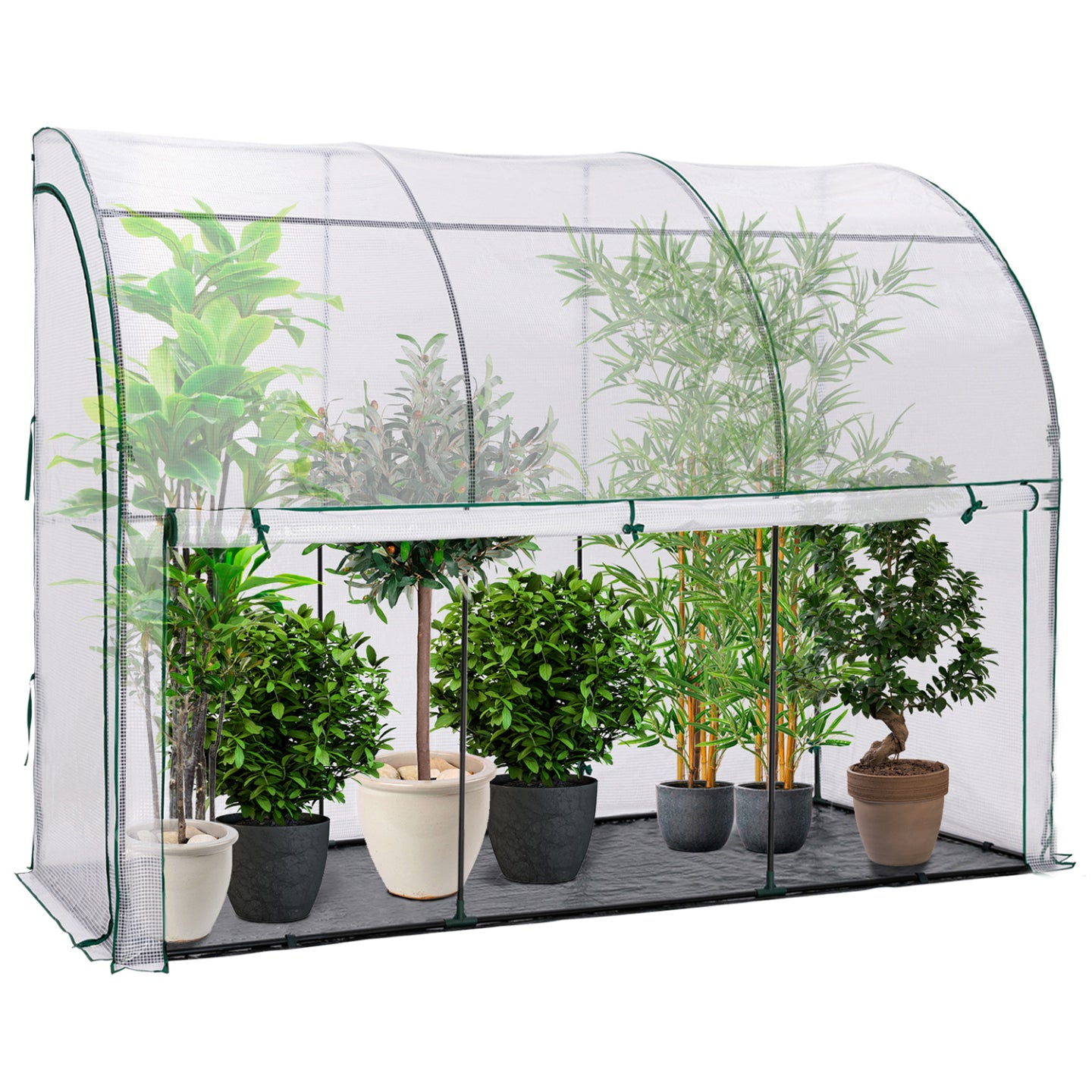 IDMarket - Serra invernale a parete con apertura frontale 100 x 300 cm