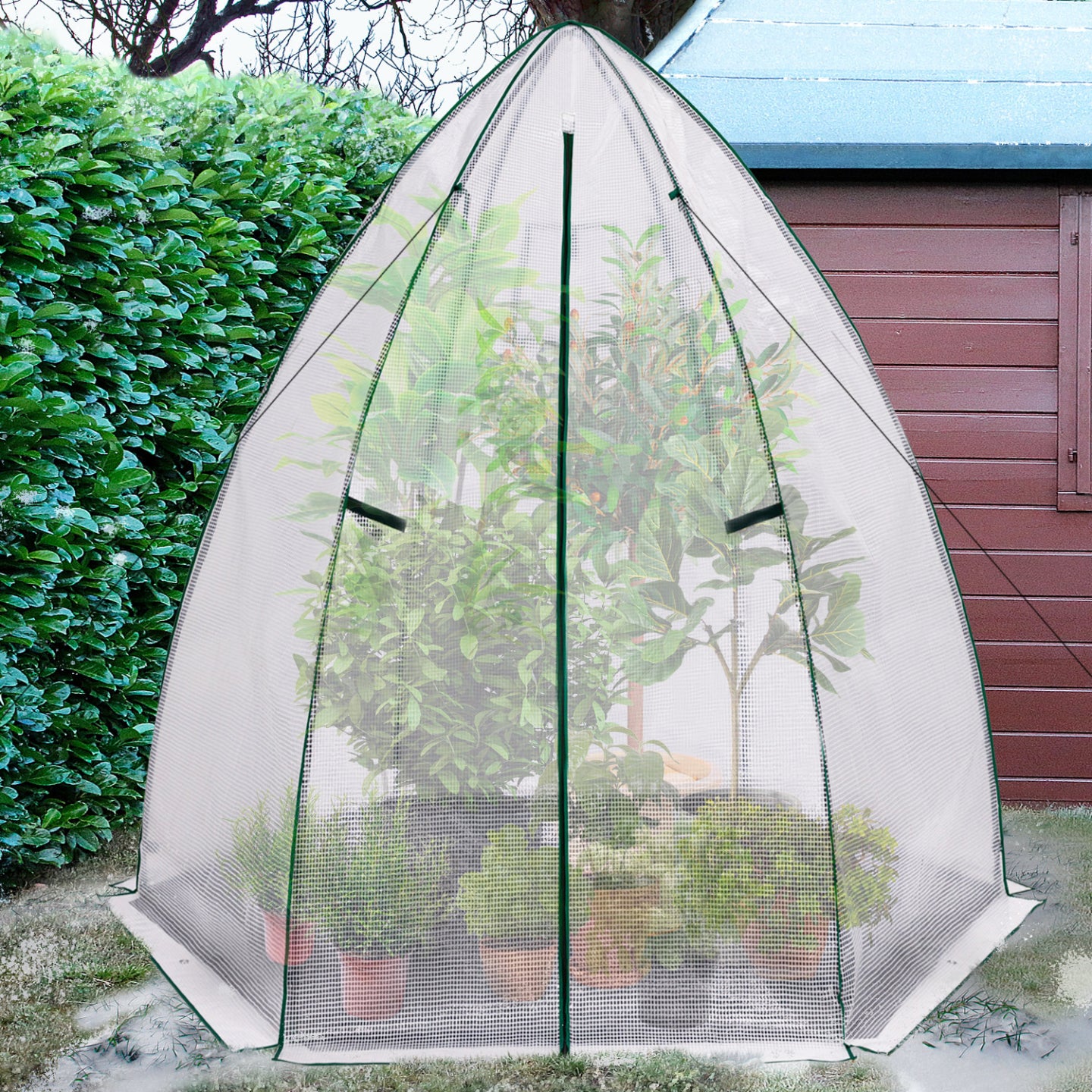 IDMarket - Serra invernale per balconi e terrazze, a forma di maxi-cupola 250 x 250 x 200 cm