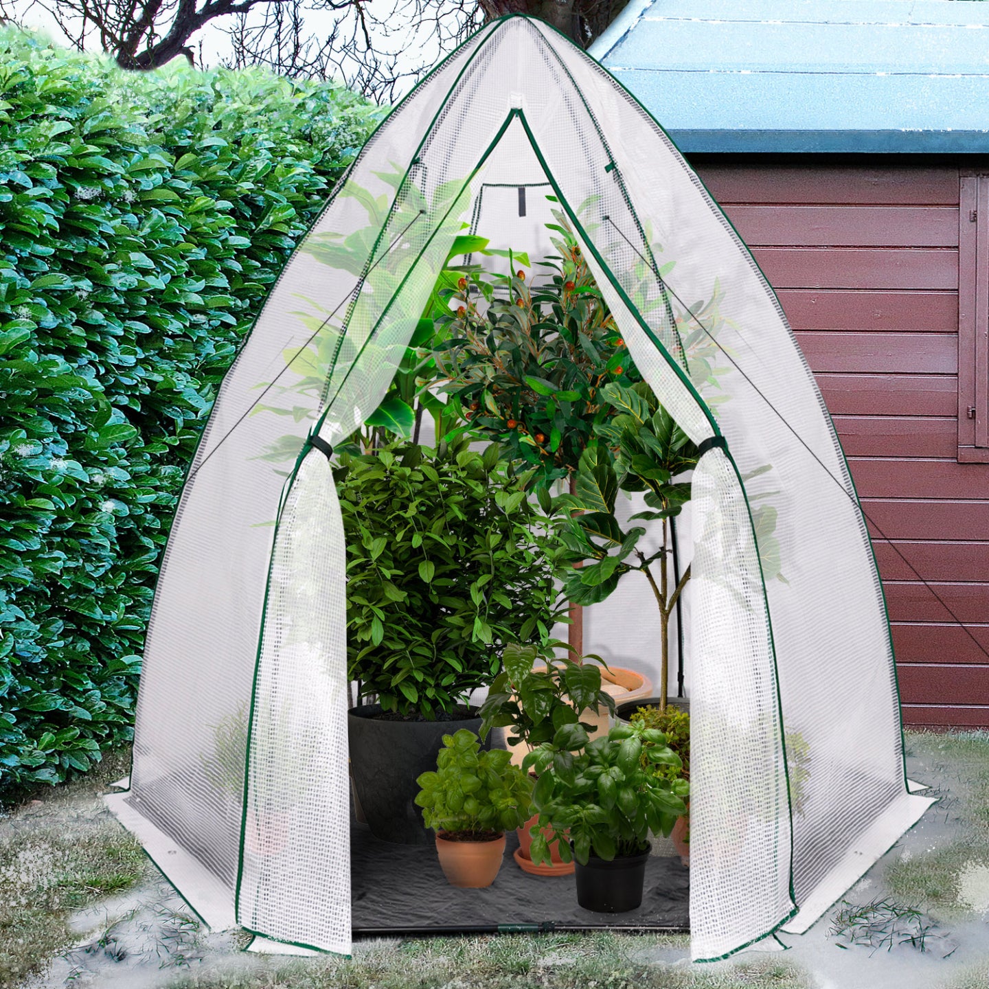 IDMarket - Serra invernale per balconi e terrazze, a forma di maxi-cupola 250 x 250 x 200 cm