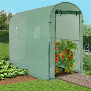 IDMarket - Serra per pomodori verde a cerniera con 2 finestre, zanzariera e porta con zip